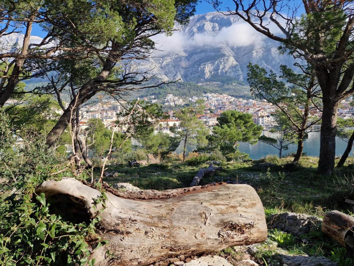 Apartment Villa Mirna Makarska Exterior photo